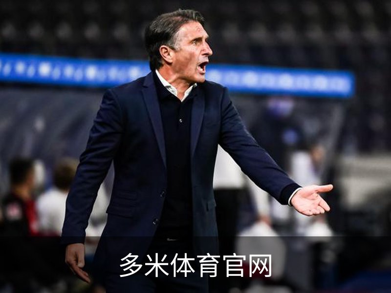 了解多米体育官网